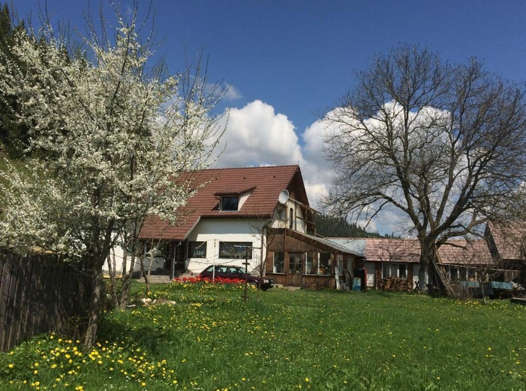 Karacsony Guest House Lunca de Sus Exterior photo